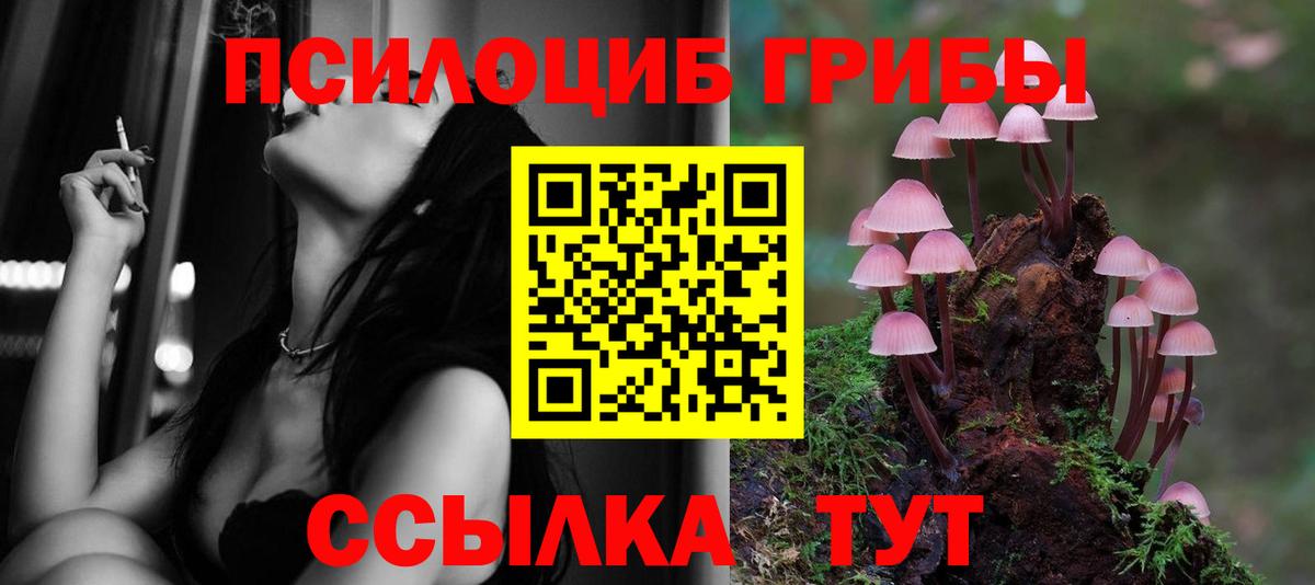 Псилоцибиновые грибы ЛСД  Вход с VPN  Карачаевск  Псилоцибиновые грибы MAGIC MUSHROOMS 